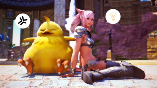 clovermemories: K’mih and her affinity with fat chocobos.