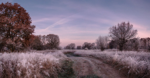 quiet-nymph:  Photography by Алексей porn pictures