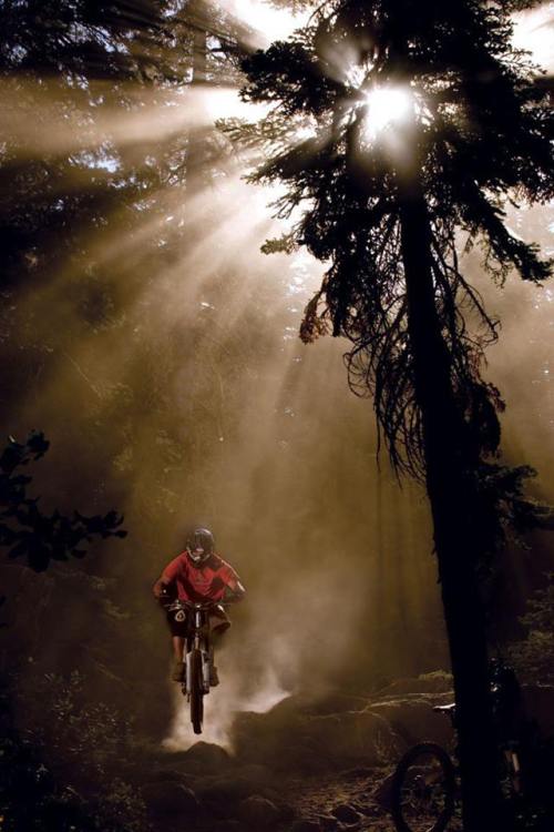 onedayonebike:  THE SUN