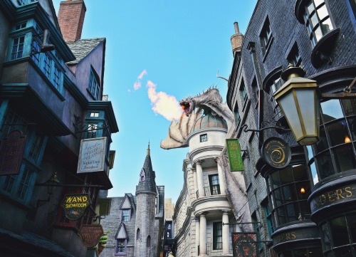 A few details from The Wizarding World of Harry Potter