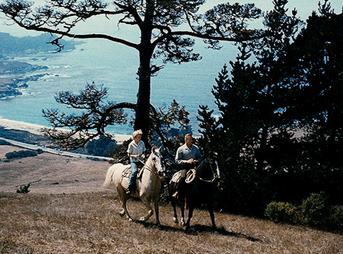 draconisxmalfoy:The 60th Anniversary of The Parent Trap (1961) dir. David SwiftRelease date: June 21