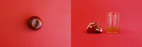 nevver:100% Real Fruit Juice,  Enle Li