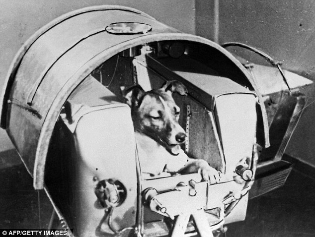 rocketumbl:  Space Dogs