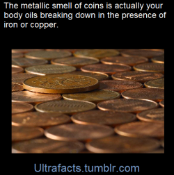 ultrafacts:  After you’ve grasped an iron