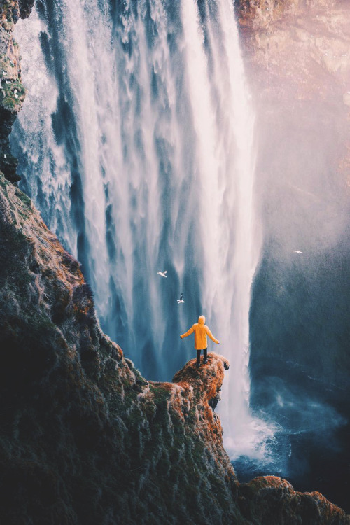 No words just dreams