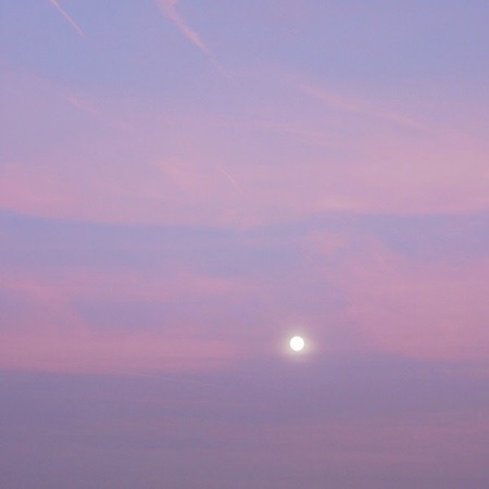 lavendervalar:    reality is a lovely place but I wouldn’t want to live therephotos by🌙  