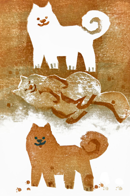 A Very Summery Doggust So Far.