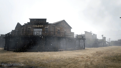 prairiemule:  Red Dead Redemption II - Armadillo • Winter Event