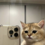 lucymorgansblog