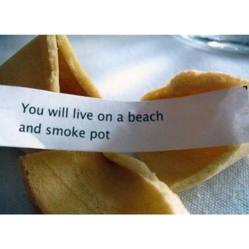 My fortune.