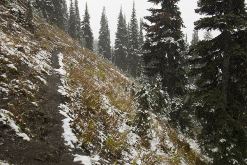 90377:Skyline trail - EC Manning Provincial Park by Jérémy RONDAN