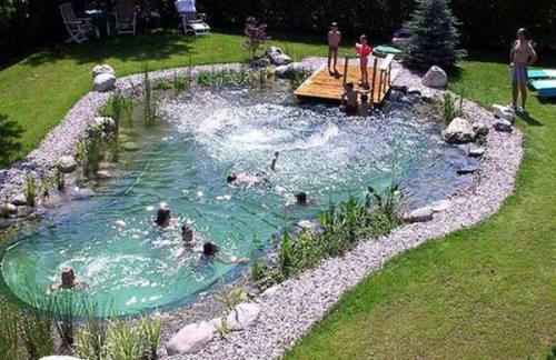 toxic-vermillion: waywardequestrian:  fromageinterrupted:  richsweettree:  sixpenceee:  Natural swimming pools are made of aquatic plants and naturally occurring bacteria that not only filter the water, they also contribute to the landscaping. (Source)