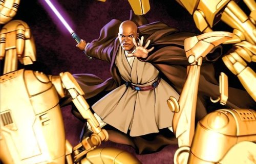 gffa:#THAT’S IT THAT’S THE POST#MACE WINDU APPRECIATION JUST BECAUSE#BECAUSE FANDOM COULD ALWAYS USE