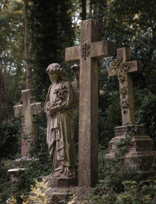 dariaendresen: Highgate cemetery, London#cemetery #highgate #london #uk #gothic #peaceful #sanctua