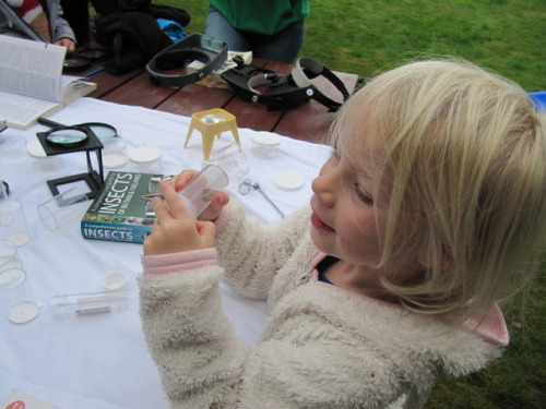 MOTHIFY PROJECT 2016 Woodcraft Group, Berkshire, September 24th Post 4 of 6
A lot of enjoyment identifying the moths was going on. you can see how much the adults enjoyed it too. The thing is that most people don’t get to see moths yet we have 2,500...