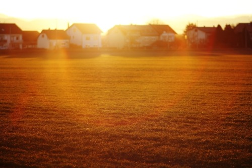 Golden hour magic.