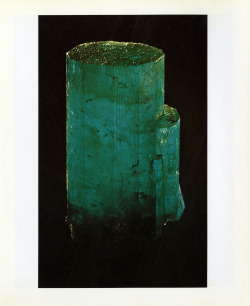 mineralia:  Emerald from Colombia  by World’s