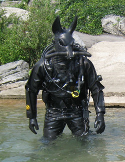 rhydonmyhardon:  the furries are now adapting to aquatic warfare is no place safe? 