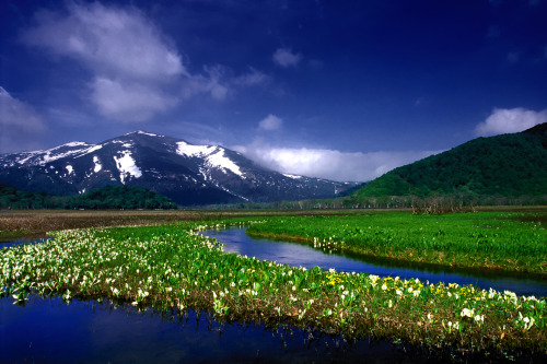 Japanese landscapes