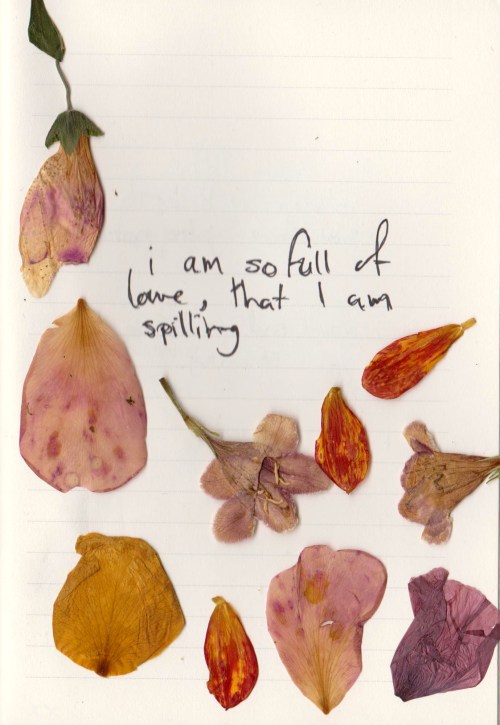 whatever-you-write:I am so full of love, that i am spilling