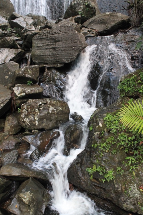 llihyelah:Coca Falls — El Yunque National Forest in Luquillo, Puerto Rico
