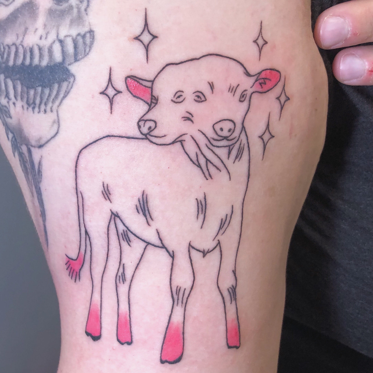 Two Headed Beast Tattoos  The World of Kitsch