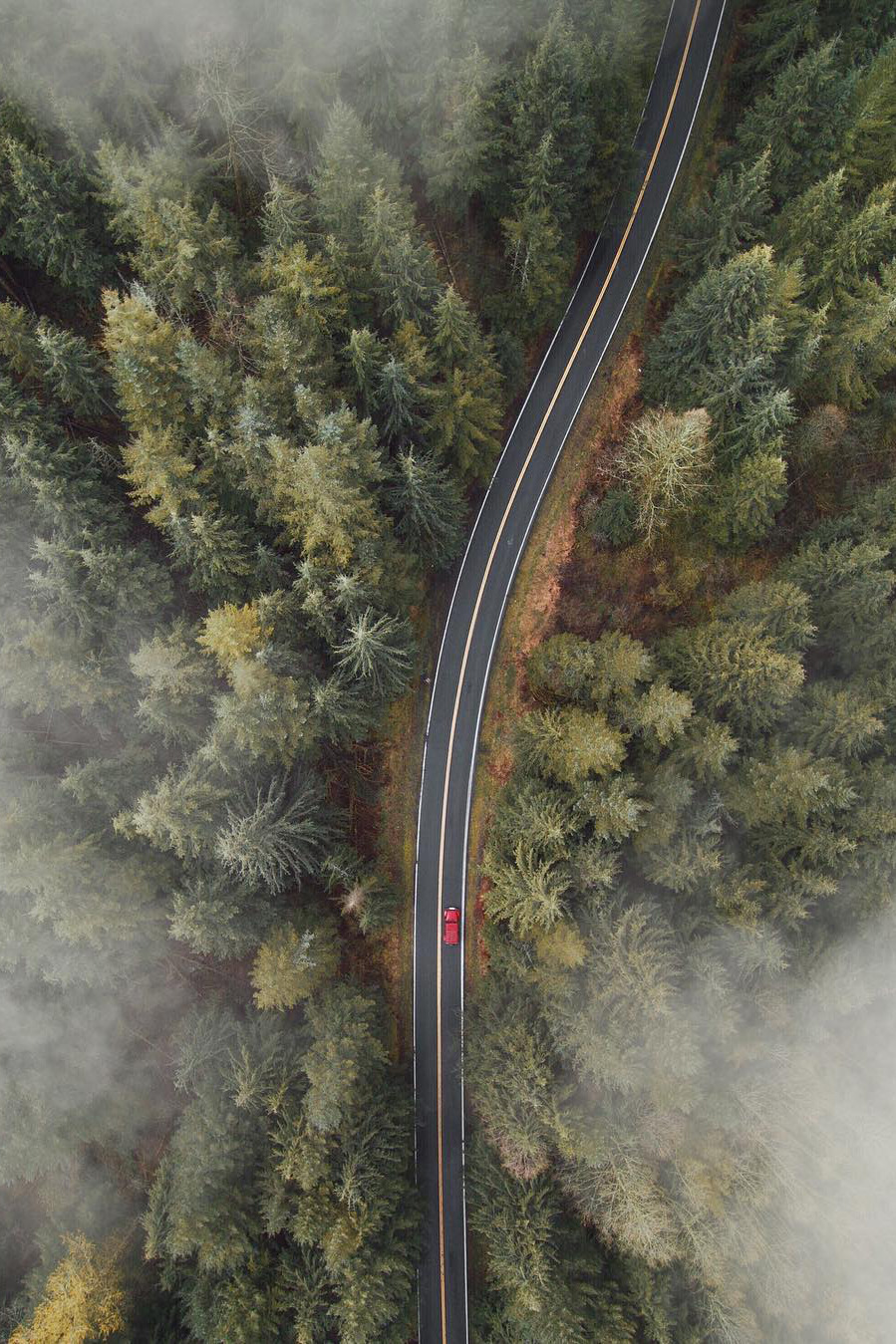 banshy:  Mt Hood National Forest // Rodrigo Trevino  