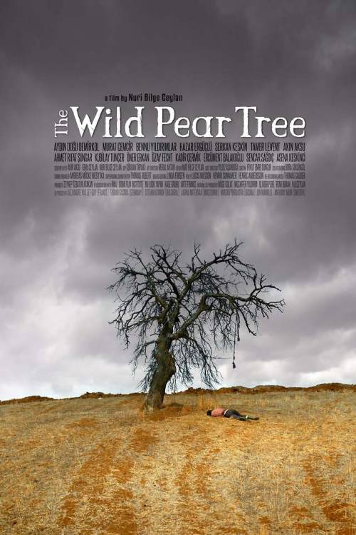“The Wild Pear Tree”  (Ahlat Ağacı, 2018)Nuri Bilge Ceylan  