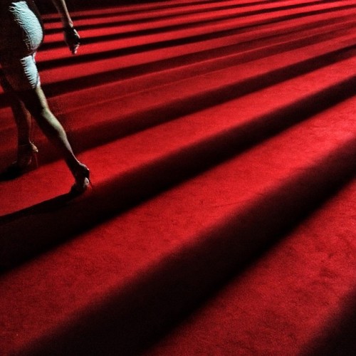 Los Angeles, CA | September 26, 2014
Exit stage left.
#photojournalism #documentary #reportage #streetphotography #shadowandlight #redcarpet #losangeles #ca #heels