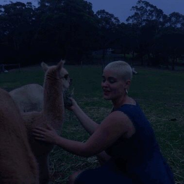 stefaniamodel:Alpaca heaven &lt;3 &lt;3 &lt;3