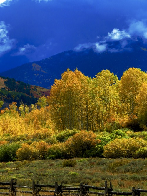 guidedsailor:Owl Creek Road, near Silver Jack ReservoirColorado