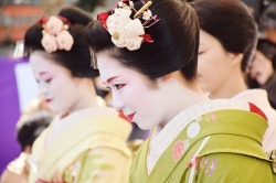 geisha-kai:  Baikasai 2015: maiko Ichimari, Ichitomo and geiko Satonosuke (SOURCE)