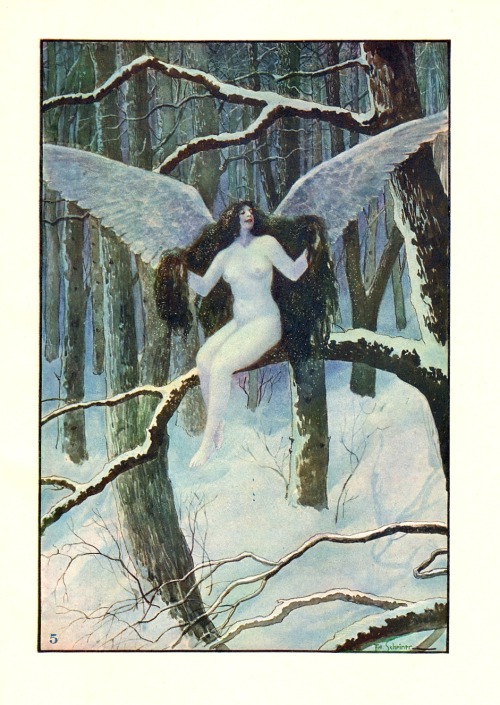 captain-celestial:Artus Scheiner