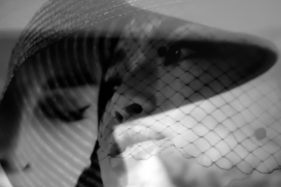 niltutgut:  YUKO ツワイ© Peter Schillinger