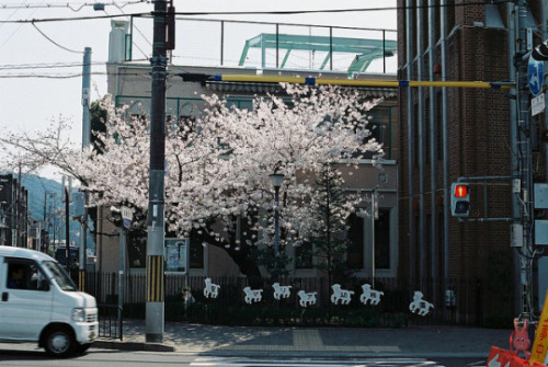 fuckyeahjapanandkorea:  上賀茂 by zyu10