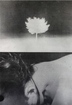 flammessombres:  Daisuke Yokota - TEIKAI (Wandering