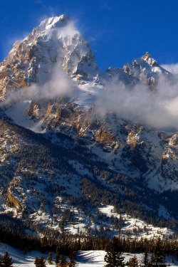 dennybitte:  riverwindphotography: Stand Together: The Grand Teton in late day sunlight, with its companions, Grand Teton National Park, Wyoming. Dedicated to Denny @dennybitte and Rudiger. &lt;3 by riverwindphotography  God Gretchen. What a beautiful