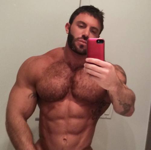 gymratskip:  hairychestg:.HairyChestG   .TBigCockHere is a close pic of that Turkish wrestler I’ve been talking about to gymbodguy.gymratskip
