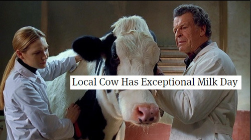 biologicalwarfarewell:    Fringe + The Onion (And Clickhole) Headlines, part 3 (insp.)