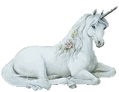 #unicornfairysparkleprincess