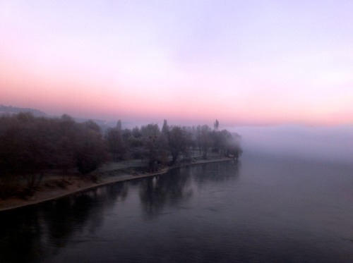 conductorofacousticalresonance:  La Seine. Ce matin.