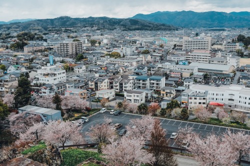 Tsuyama 