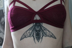 white-wid0w:  lyra-janine:  lunariums:  New bra that I’m obsessed with and a better photo of my hornet on my sternum thanks to Pari Corbitt  where can I get a bra like this?!  seriously tho where can I get that  Unf 😭