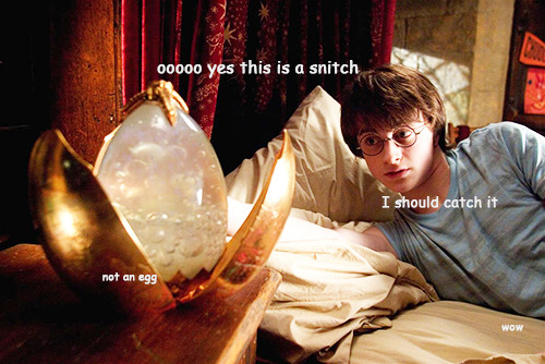 erisedbadger:   thexsecretxlife:  bakerstbarricadebabe:  erisedbadger:  When you