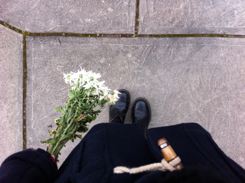 gentle-insomnia:Carrying dead flowers home today