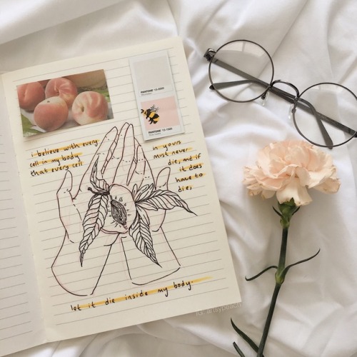localpeachy:  “i believe with every cell in my body that every cell in yours must not, must ne