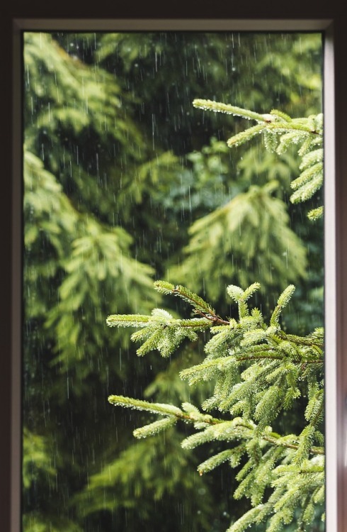 havingagoodvibes:  expressions-of-nature:  by Jan Szwagrzyk 🌞 Having a Good Vibes