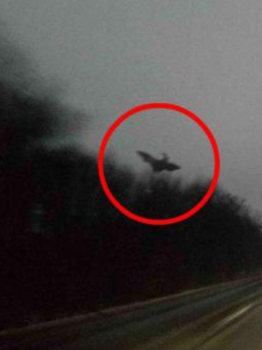 creepyalex:  Damn you, Mothman!