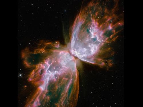 ulaulaman:  The Butterfly Nebula The bright clusters and nebulae of planet Earth’s night sky are often named for flowers or insects. Though its wingspan covers over 3 light-years, NGC 6302 is no exception. With an estimated surface temperature of about