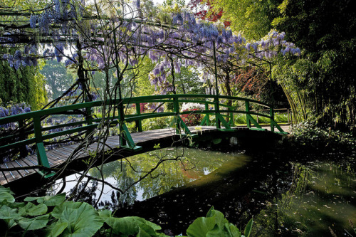 Monet’s Garden in Giverny, France (by Rosarian49).